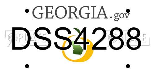 DSS4288 Georgia License Plate