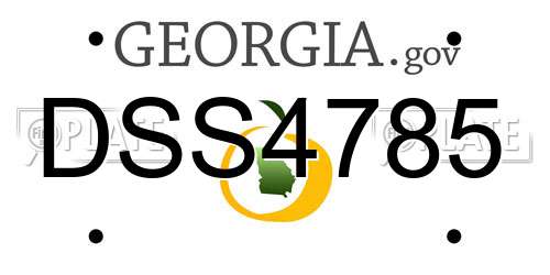 DSS4785 Georgia License Plate