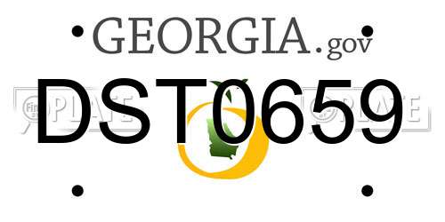 DST0659 Georgia License Plate