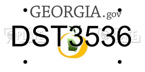DST3536 Georgia License Plate