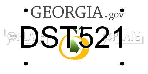DST521 Georgia License Plate