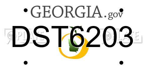 DST6203 Georgia License Plate
