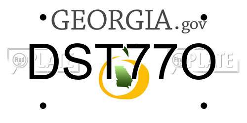 DST77O Georgia License Plate
