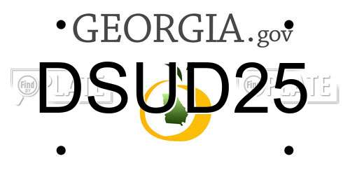DSUD25 Georgia License Plate