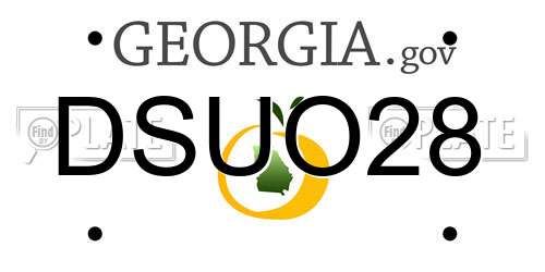 DSUO28 Georgia License Plate