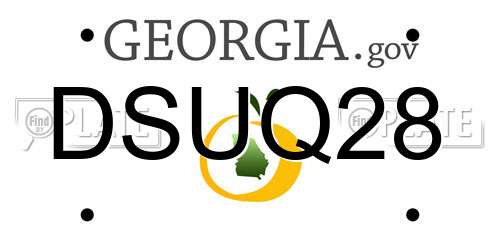 DSUQ28 Georgia License Plate