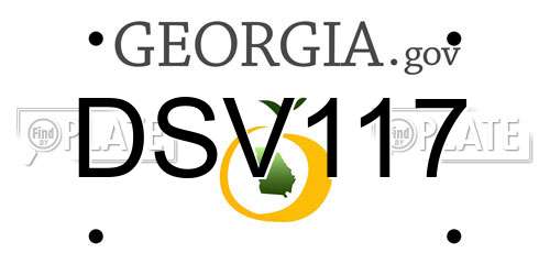 DSV117 Georgia License Plate