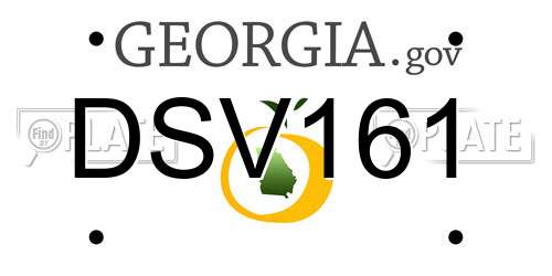 DSV161 Georgia License Plate