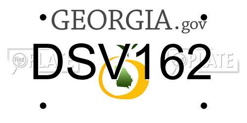 DSV162 Georgia License Plate