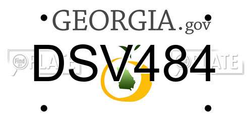 DSV484 Georgia License Plate