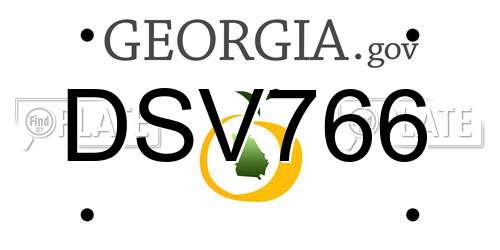 DSV766 Georgia License Plate