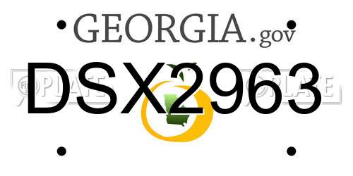 DSX2963 Georgia License Plate