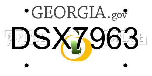 DSX7963 Georgia License Plate