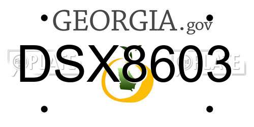 DSX8603 Georgia License Plate
