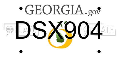 DSX904 Georgia License Plate