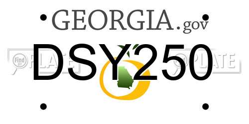 DSY250 Georgia License Plate