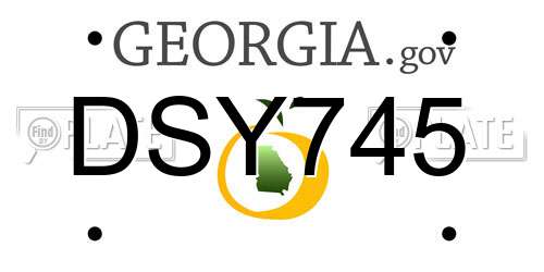 DSY745 Georgia License Plate
