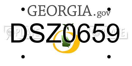 DSZ0659 Georgia License Plate