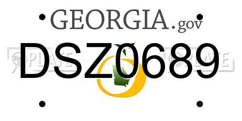 DSZ0689 Georgia License Plate