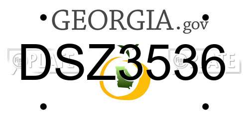 DSZ3536 Georgia License Plate