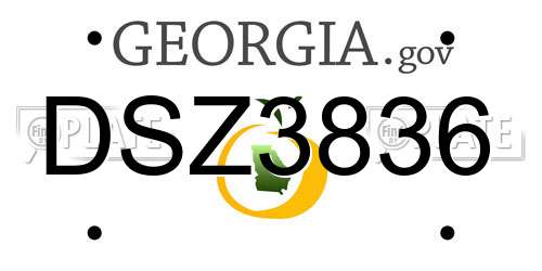 DSZ3836 Georgia License Plate