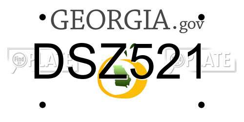 DSZ521 Georgia License Plate