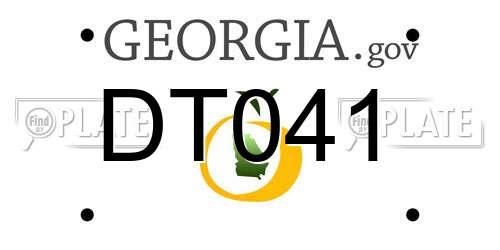 DT041 Georgia License Plate