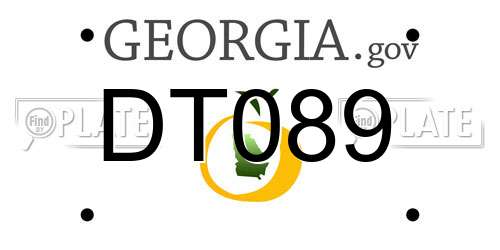 DT089 Georgia License Plate