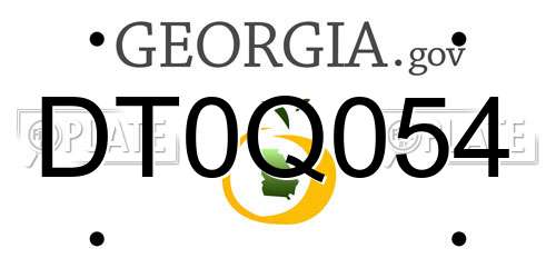 DT0Q054 Georgia License Plate