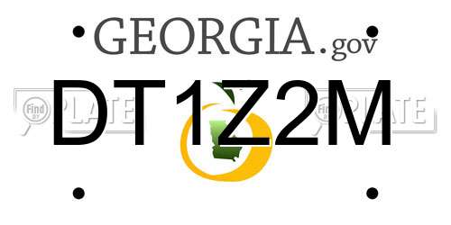 DT1Z2M Georgia License Plate