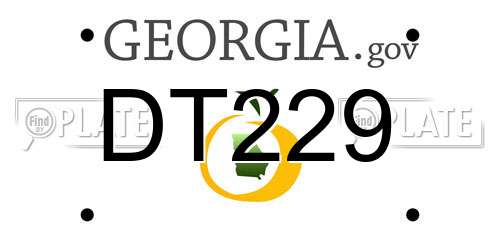 DT229 Georgia License Plate
