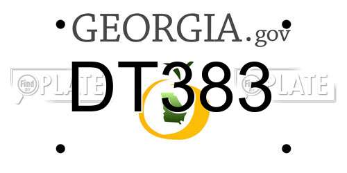 DT383 Georgia License Plate