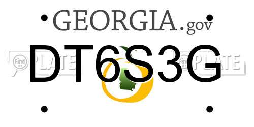 DT6S3G Georgia License Plate