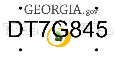 DT7G845 Georgia License Plate