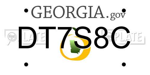 DT7S8C Georgia License Plate