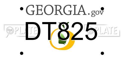 DT825 Georgia License Plate