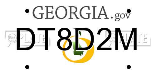 DT8D2M Georgia License Plate
