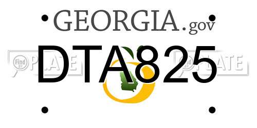DTA825 Georgia License Plate