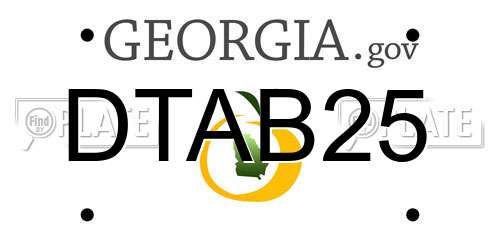 DTAB25 Georgia License Plate