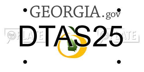 DTAS25 Georgia License Plate