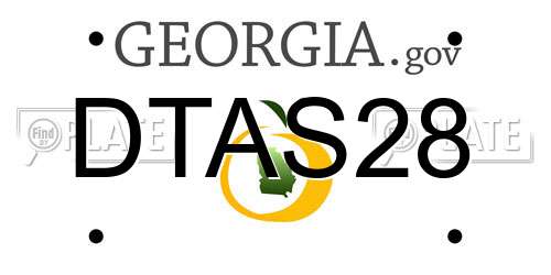 DTAS28 Georgia License Plate