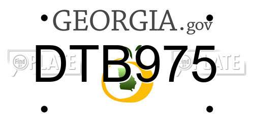 DTB975 Georgia License Plate