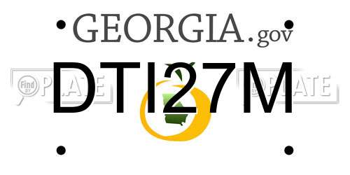 DTI27M Georgia License Plate