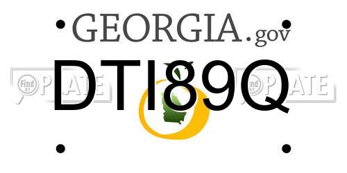 DTI89Q Georgia License Plate