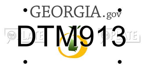DTM913 Georgia License Plate