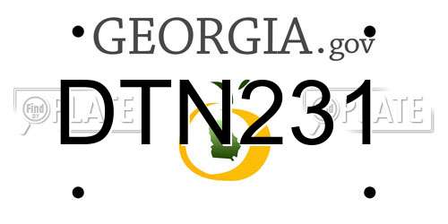 DTN231 Georgia License Plate