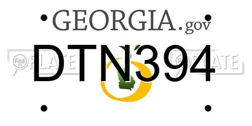 DTN394 Georgia License Plate