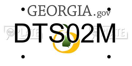 DTS02M Georgia License Plate