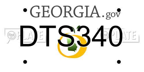 DTS340 Georgia License Plate