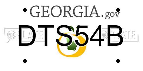 DTS54B Georgia License Plate